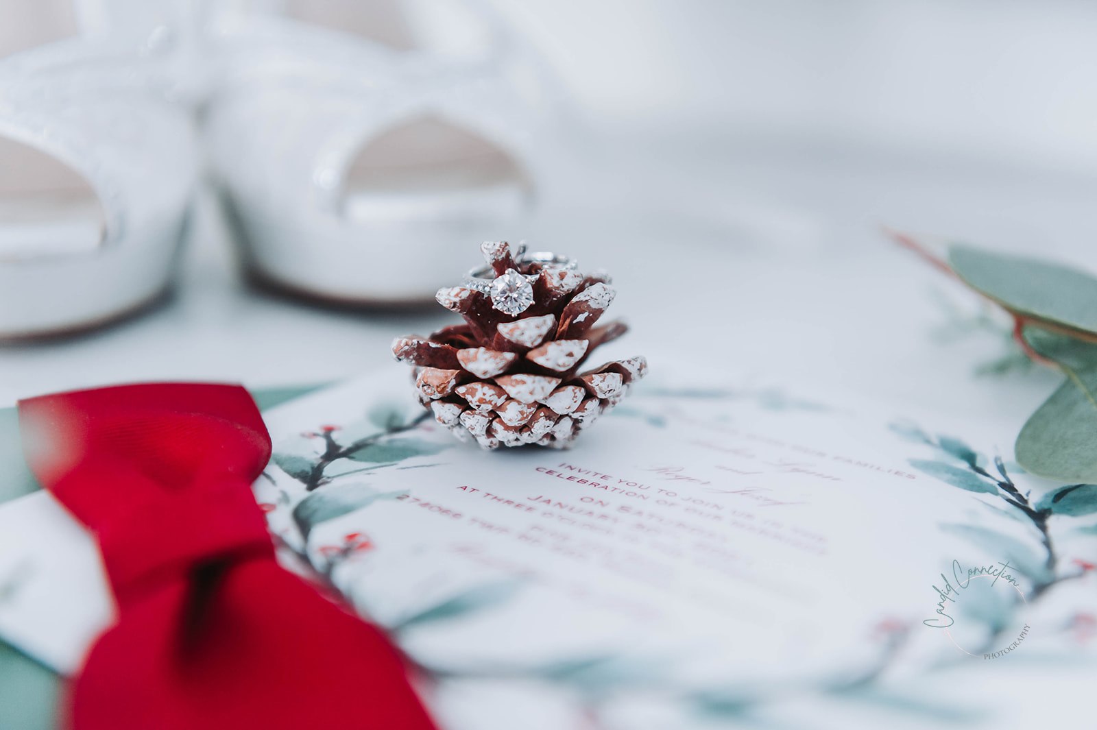 Winter Wonderland Inspired Wedding