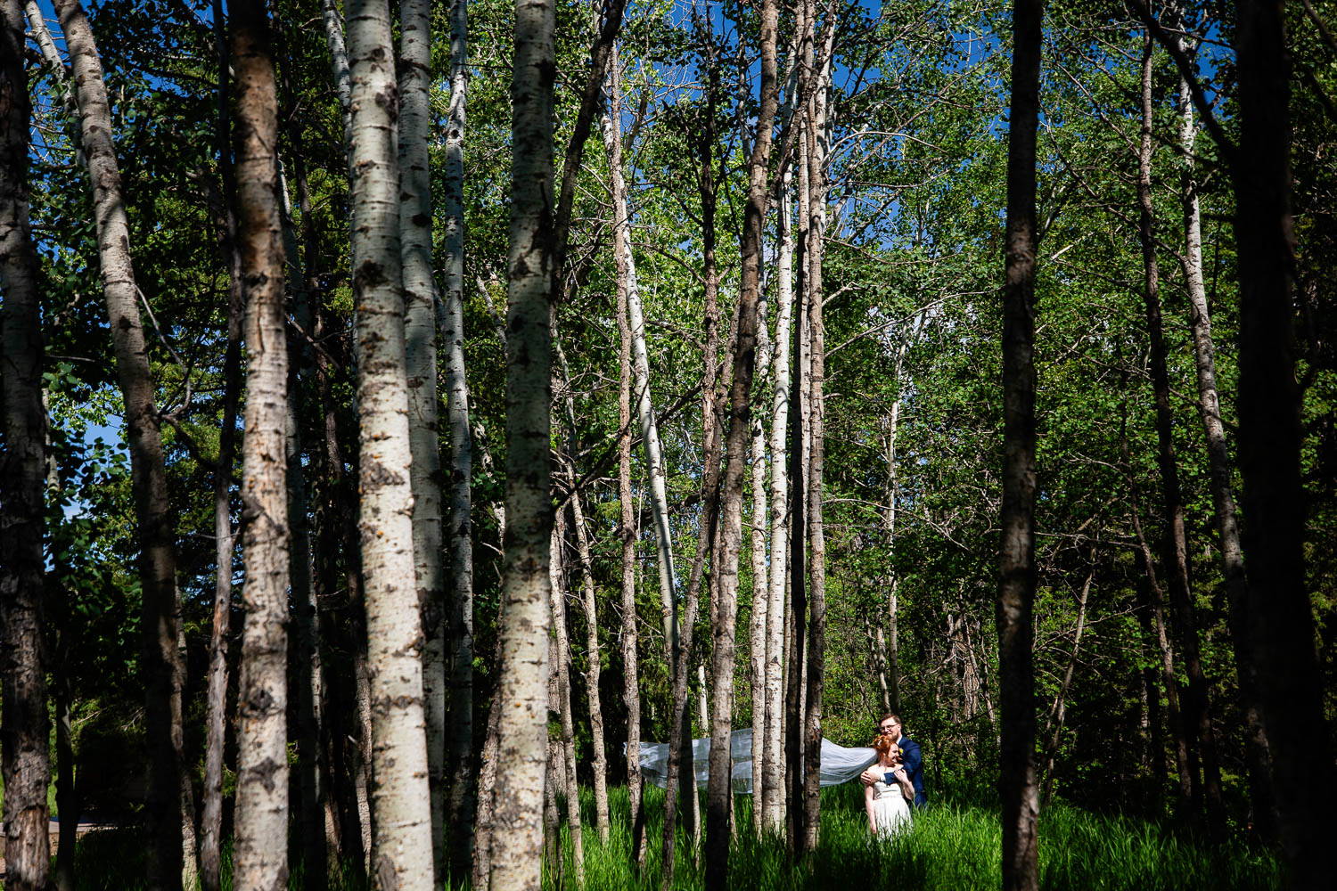 nogues-photography-meadow-muse-pavilion_15