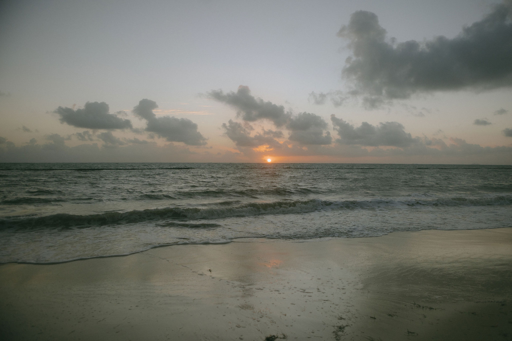 PhotosbyDeli-ConfettiSubmission31
