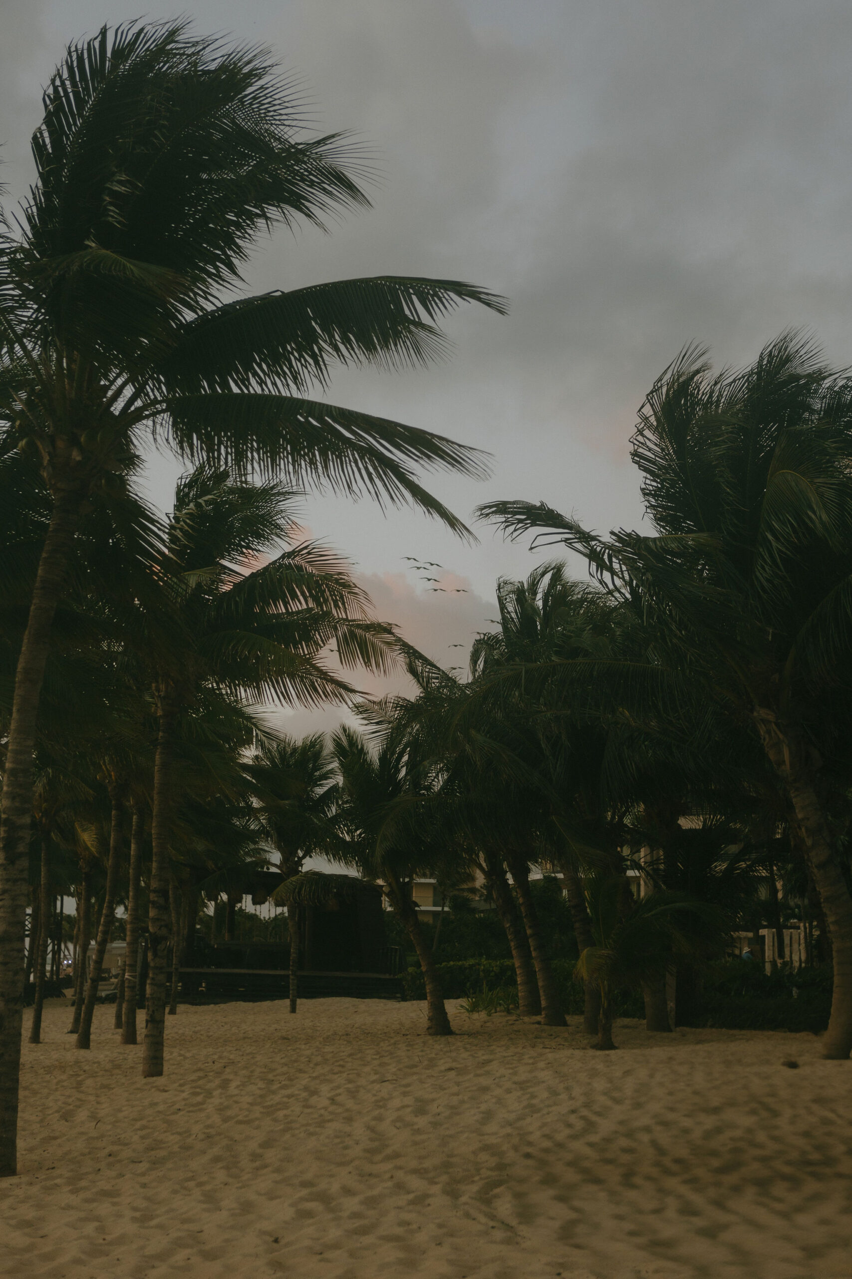 PhotosbyDeli-ConfettiSubmission33