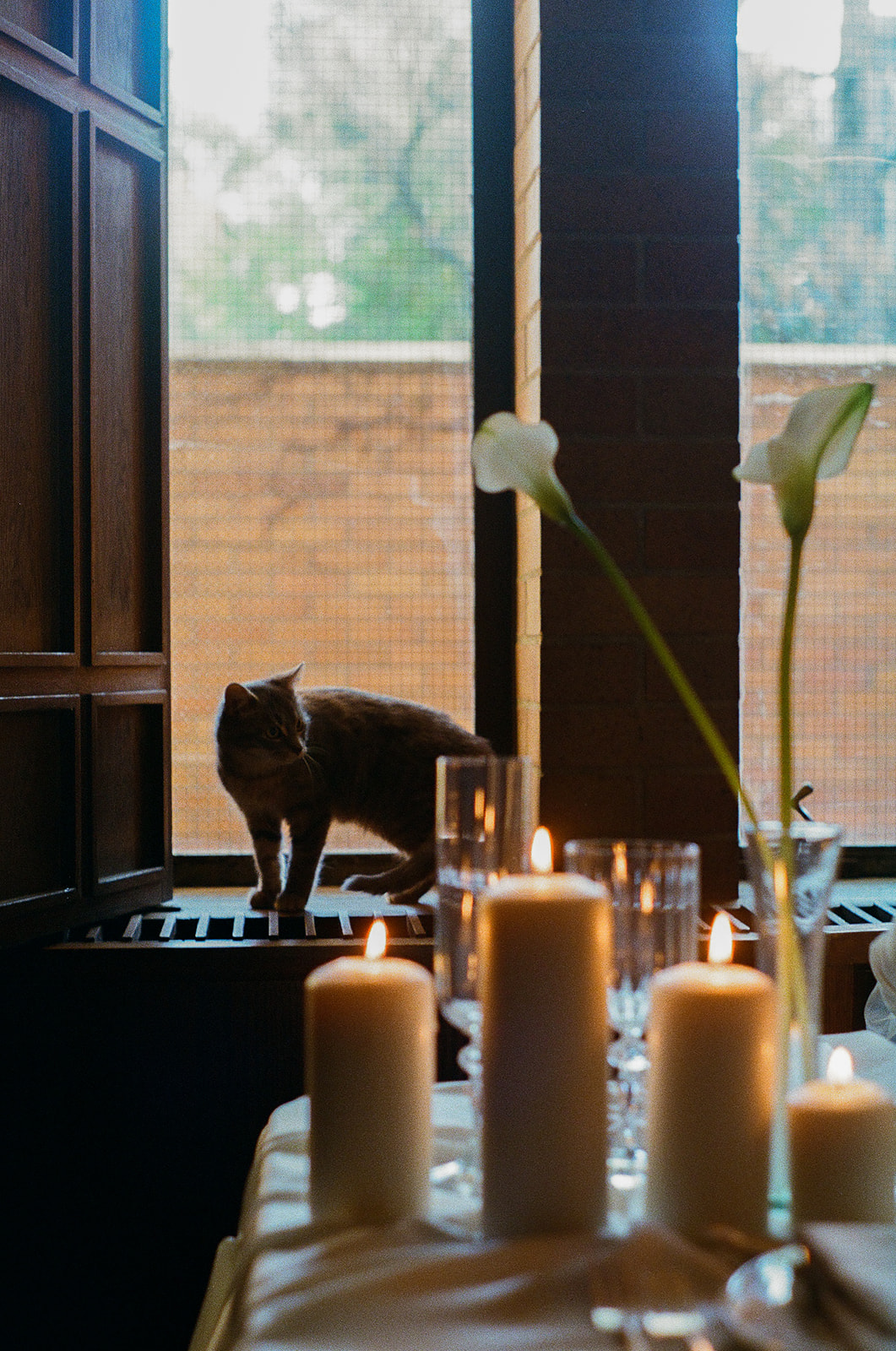 MASSEY COLLEGE STYLED BRIDAL SHOOT