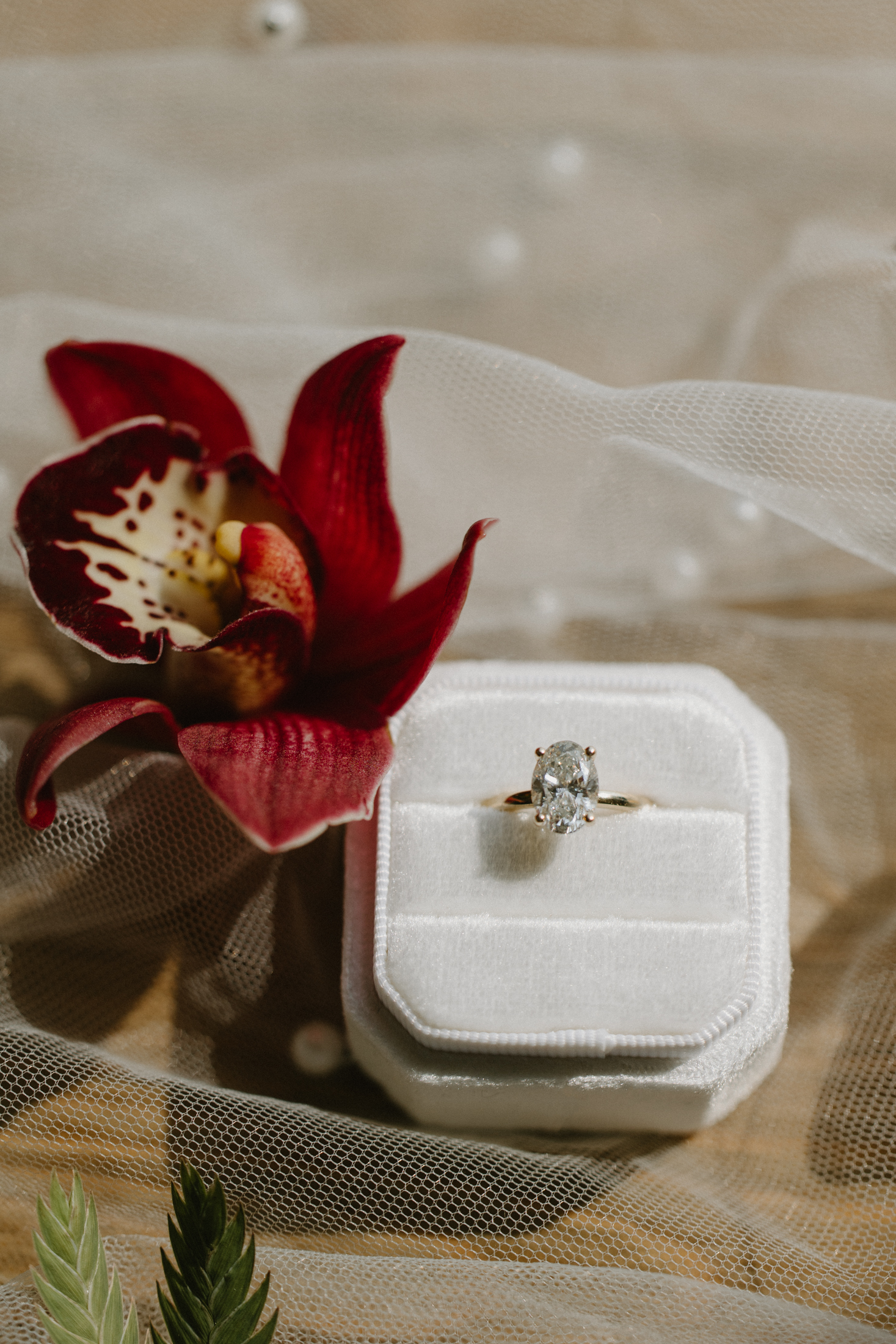 Valerie Doucette Photography – Ottawa, ON Canada – Bleeks and Bergamot – Styled Wedding Session-4