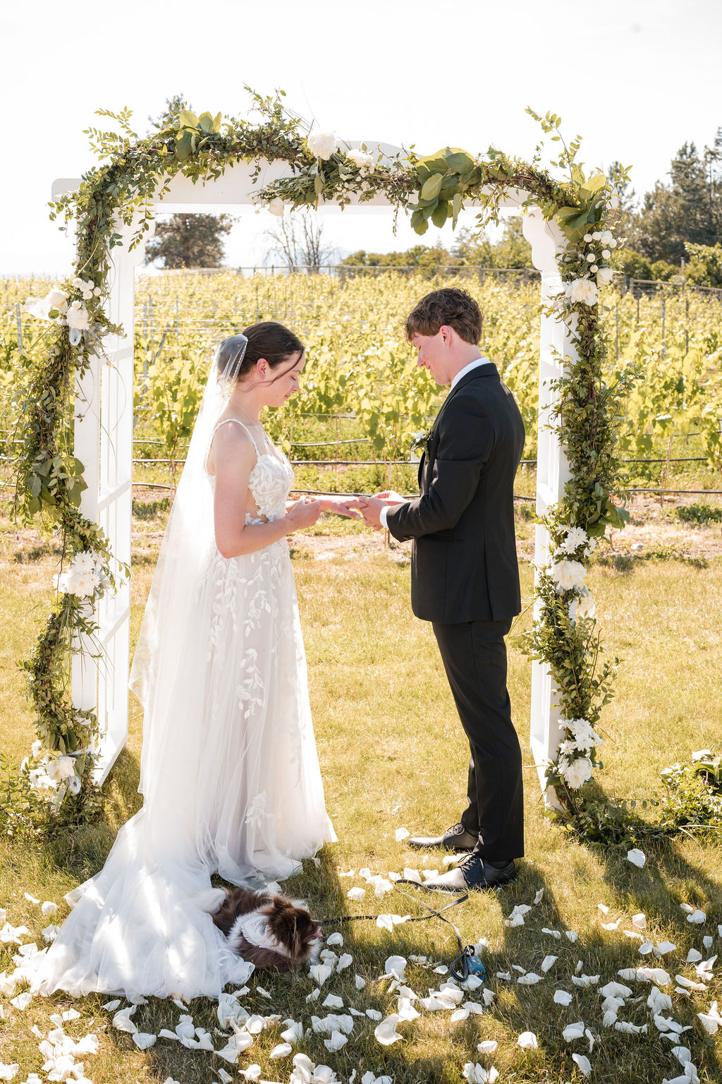 KelownaWeddingPhotographersMemorableandVibrantOkanaganPhotography-181